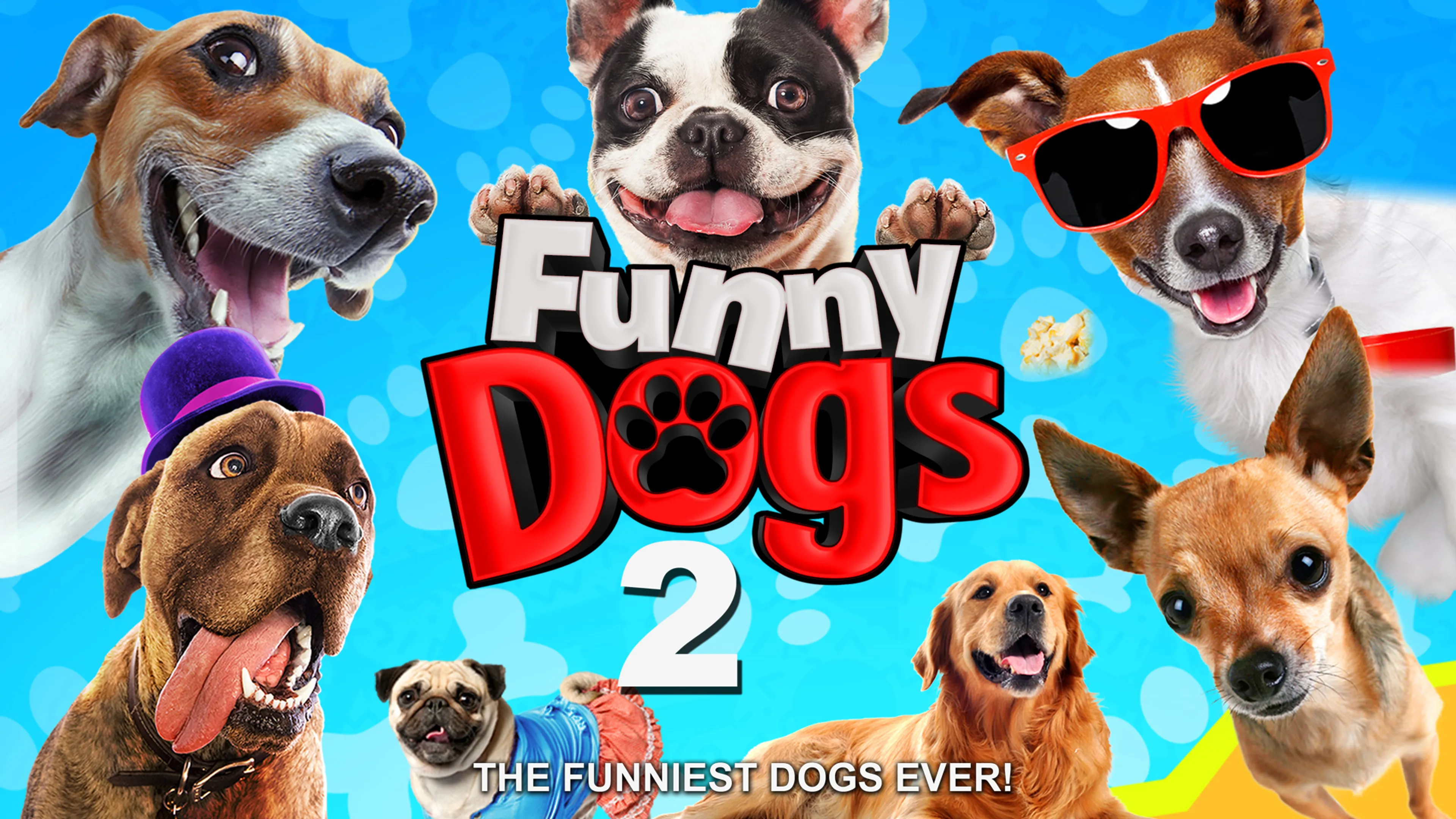 Funny Dogs 2 poster